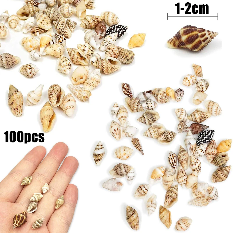 100pcs 1-2cm Small Sea Shells Assorted Natural Seashells Conch Crafts Diy Ornaments & Starfishes Home Decoration | Дом и сад