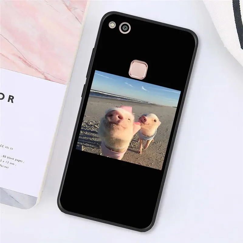 Cute Little Pink Pet Pig