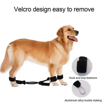 

Dog Belt Explosion-proof Comfortable Rope for Pet Dog Supplies Safety Lever Auto Traction Products