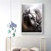 5D DIY Diamond Painting Horse Art Kits for Adults 2