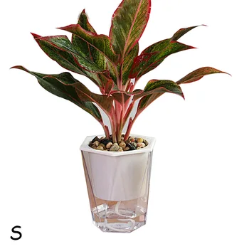 

Transparent Rhombus Self Watering Flowerpot Pretty Plant Pot Plants Care Soil Accessories Baskets Pots Water Storage Basin