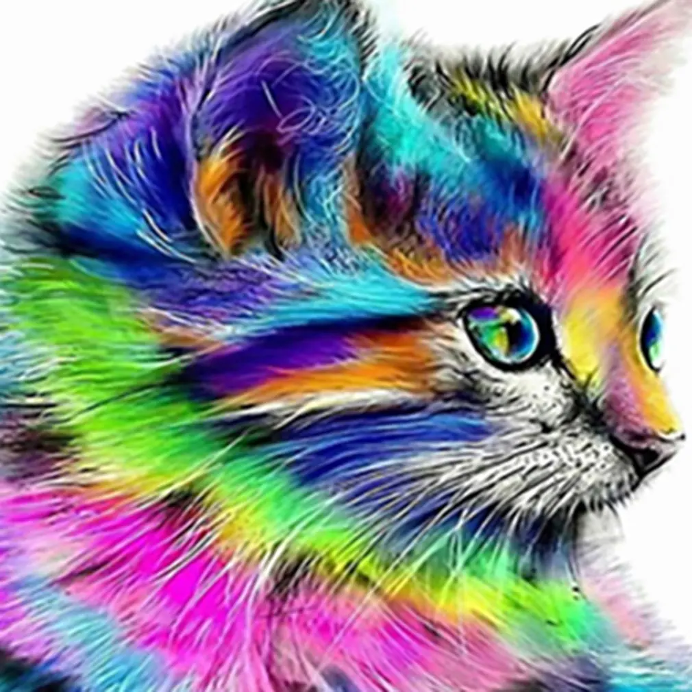 12977 животное маленькая кошка узор домашнее украшение HD печатные настенные художественные картины холст живопись для гостиной наклейки