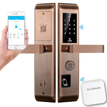 

Biometric Fingerprint Door Lock App Remote Control Bluetooth Gateway Smart Doorlock Password Card Locks 304 Stainless Bronze