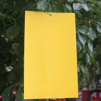 

10pcs Useful Orchard Hanging Insect Fly Trap Pest Killer Catching Greenhouse Bugs Double Sided Sticky Board Garden Outdoor