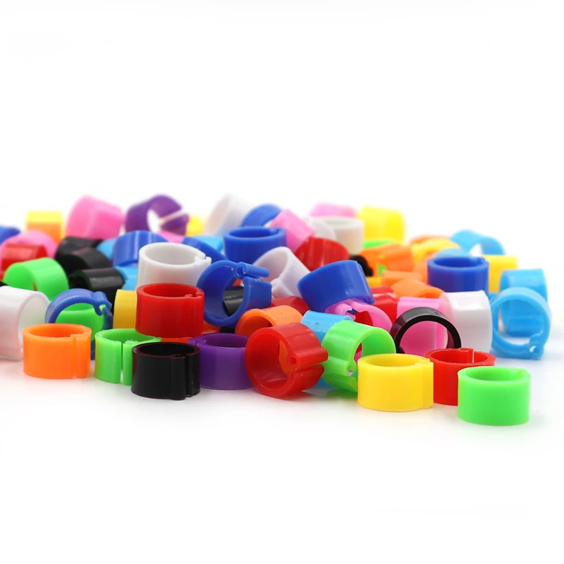 EIHI 100 Anelli Per Zampe Uccelli - 8mm, 10 Colori Misti Per Piccioni, Pappagalli E Pollame - Foto 5