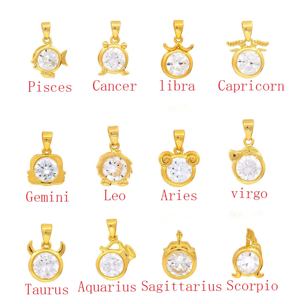 

Cz zodiac pendant, mini pendant for Capricorn women jewelry necklace
