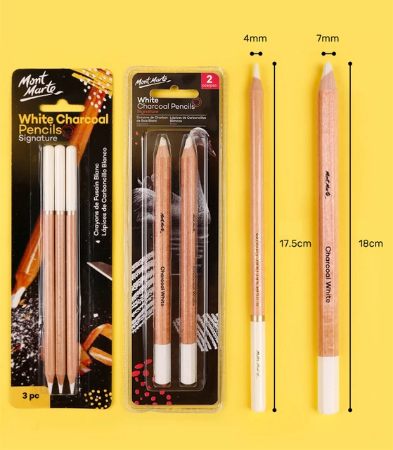 3 Pcs/Pack Professional White Charcoal Pencils Set Sketch