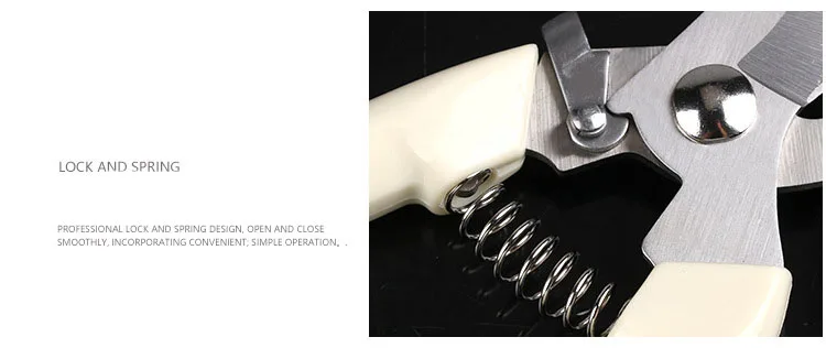 3119956427_598991726