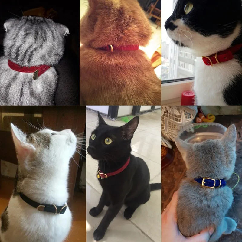 Cat Collar With Bell Safety Cat Collars Puppy Dog Collar For Cats Small Dogs Kittens Solid Pet Collar Chihuahua Products Cat Collar With Bell Safety Cat Collars Puppy Dog Collar For Cats Small Dogs Kittens Solid Pet Collar Chihuahua Products