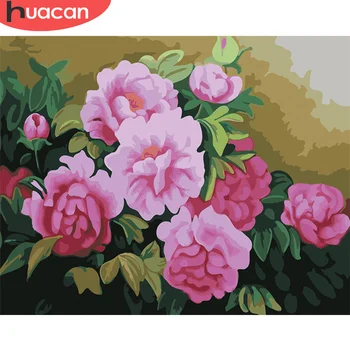 

HUACAN Paint By Number Flower DIY Pictures By Numbers Flowers Kits Hand Painted Painting Art Drawing On Canvas Gift Home Decor