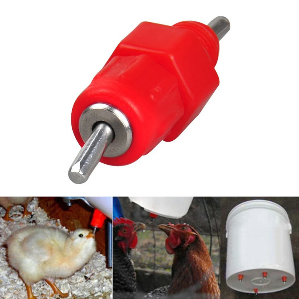 

360 Degrees Red Drinkers Chicken Waterer Poultry Feed Chicken Drinking Bird Pigeon Feeding Ball Red Drinkers for Farm
