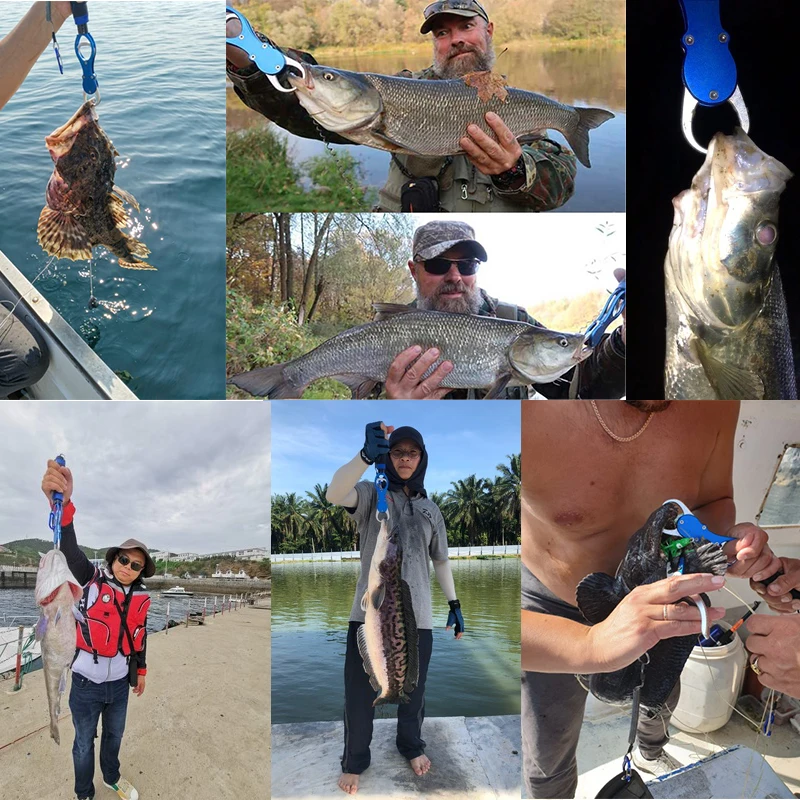 Slide image 5e356bdd2442457b8f31db83d0b1c735