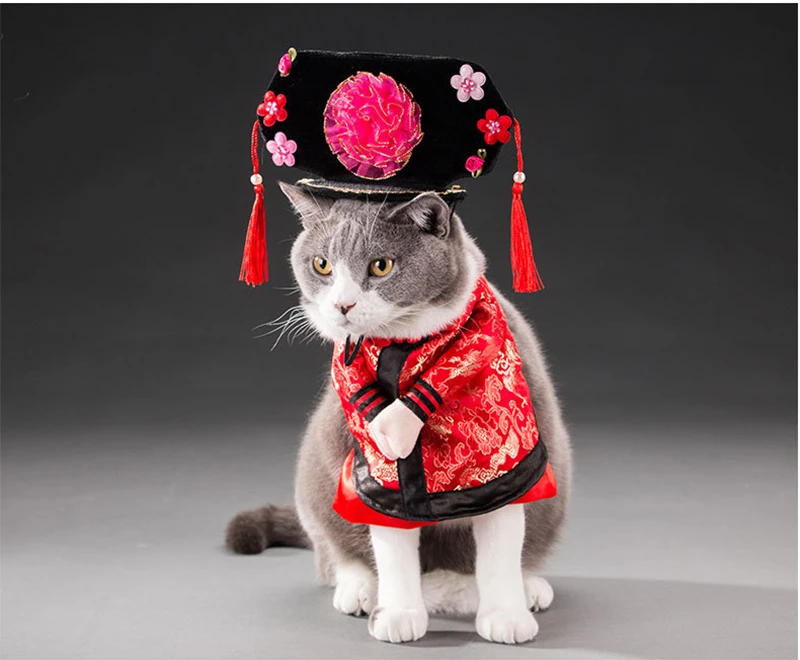 Косплей, одежда для домашних животных, кошек, собак, зимние теплые куртки для собак, Комбинезоны для маленьких кошек, одежда для щенков, толстовки, костюм для домашних животных
