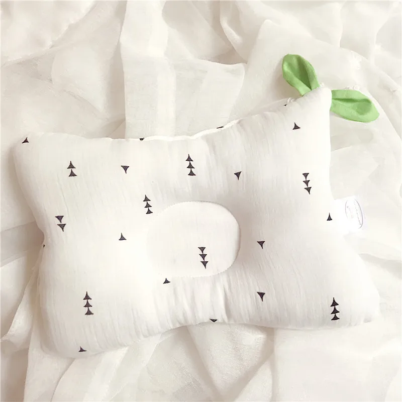 11086025441_1320397417