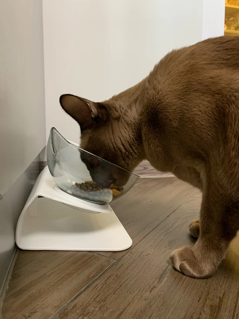 Ergonomic Feeding Bowls