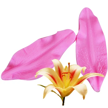 

DIY Lily Petal Silicone Molds And Cutter Set Fondant Cake Moulds For Sugarcraft Petal Flower Cutter Tools Kitchen Baking Tool