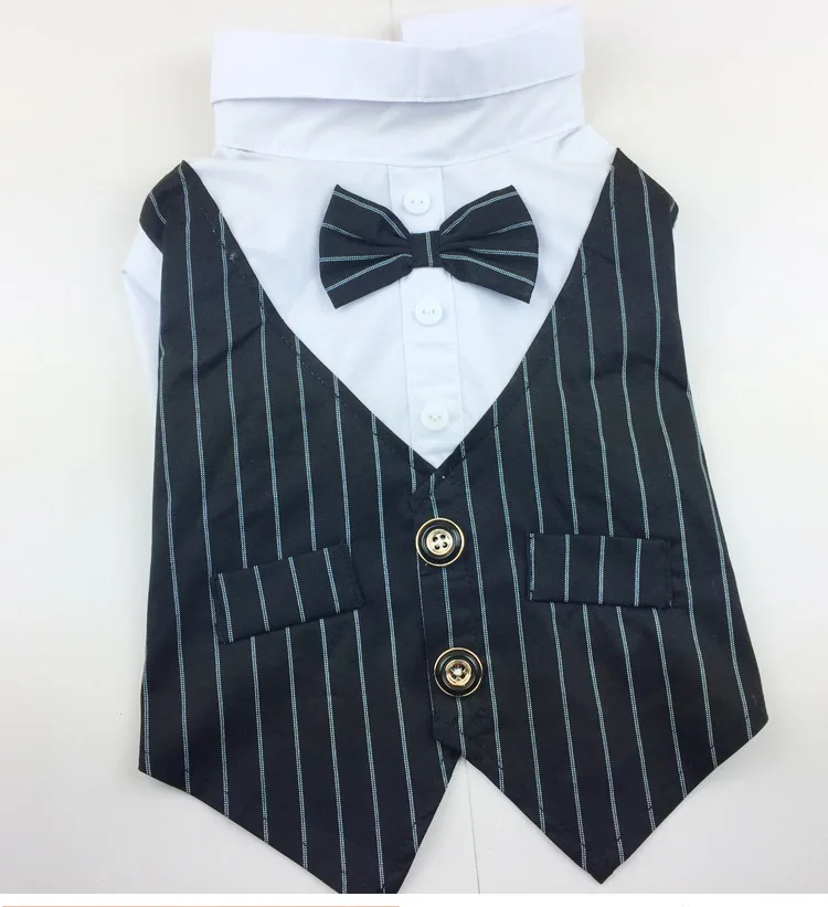 black stripe Одежда осенне-зимний стиль Одежда для собак дышащая Мода Красивый двухногий костюм маленькая плюшевая собака одежда - Цвет: black stripe