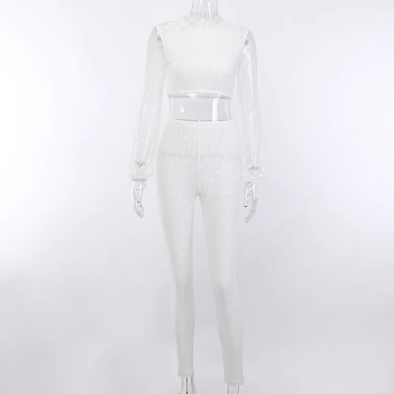 11670272495_2146010042