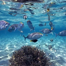 Пользовательские 3D Настенные обои для спальни фото фон настенные наклейки домашний Декор Гостиная Современная живопись обои