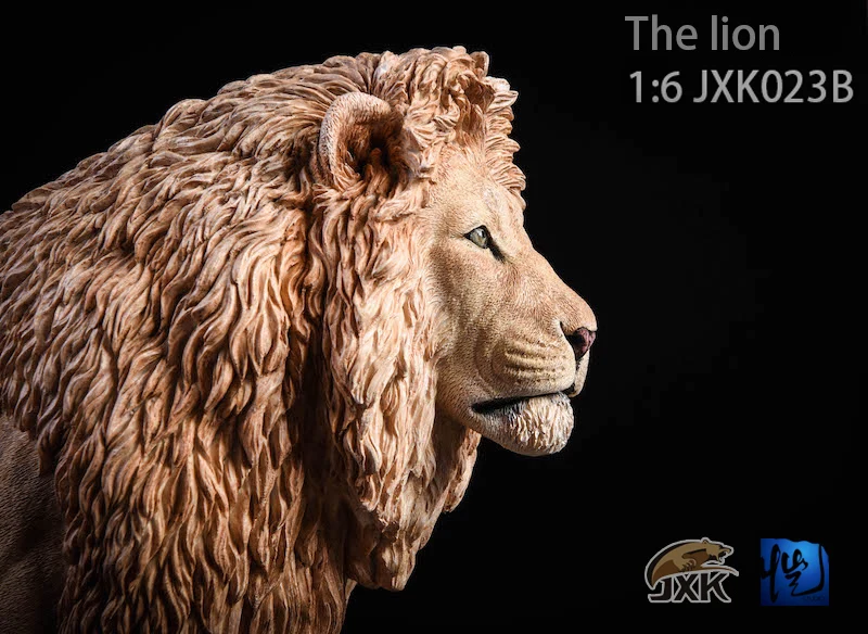 Details about   1:6 Scale JXK Studio JXK023A Brown Lion 2.0 Animal Figure Statue Model Toy 