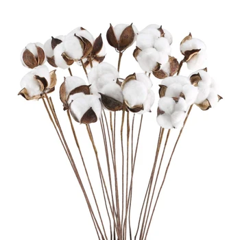 

20Pcs 24 Inches Natural Dried Cotton Stem, Farmhouse Artificial Flower Filler Floral Arrangement Home Party Decor