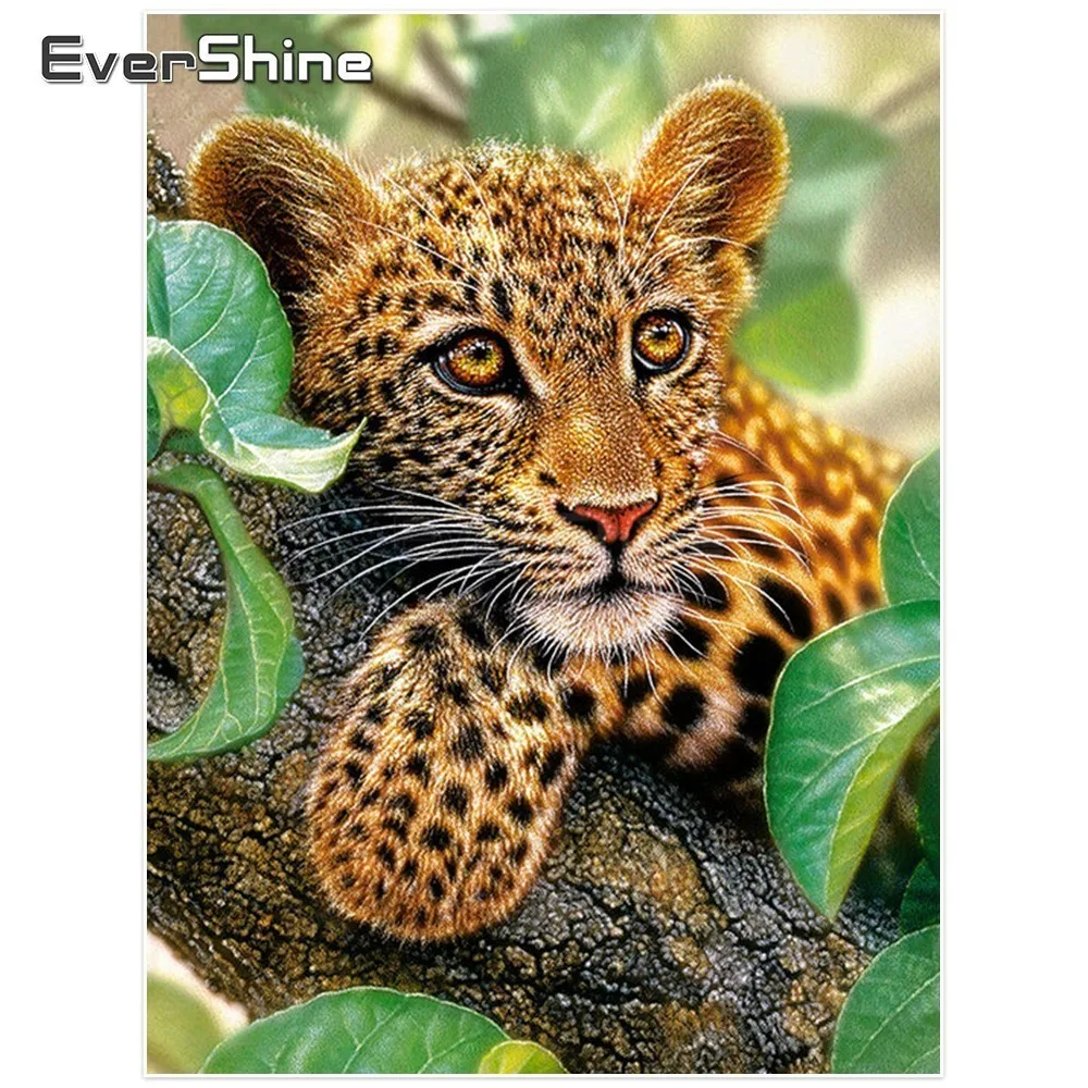 EverShine Новое поступление Алмаз Вышивка Тигр DIY Полный бриллиант живопись Животные