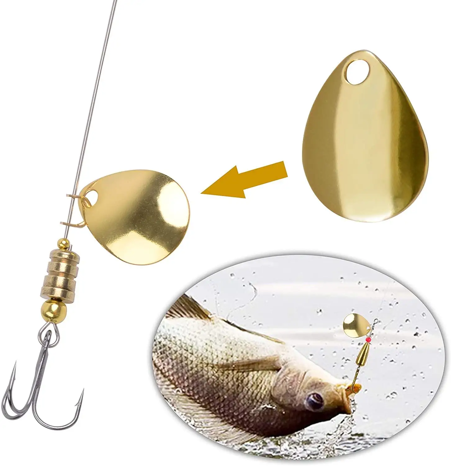 Chandrabhaga Tours And Travels