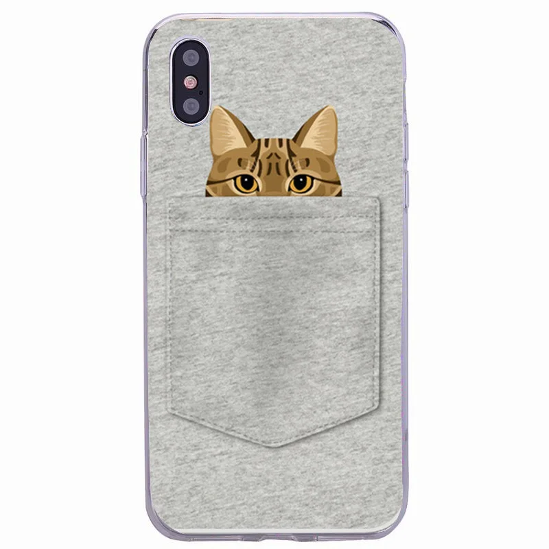 口袋猫