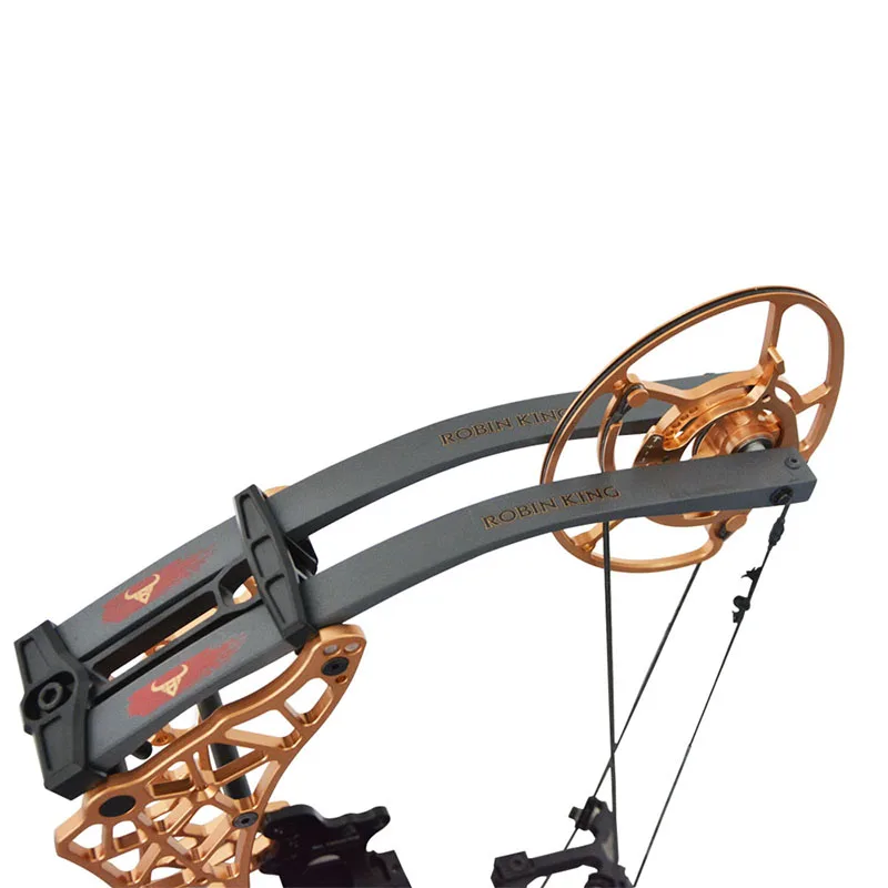 Powerful Archery Compound Bow Draw Weight 40-70lbs Adjustable Suit for Hunting Bow Shooting fish Practice Arrows Accessories