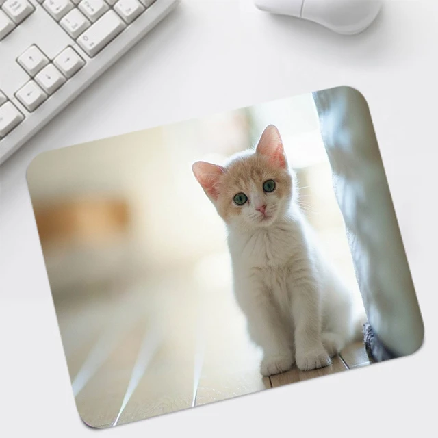 Mouse pad imagem bonito do gato antiderpante jogo pad pa