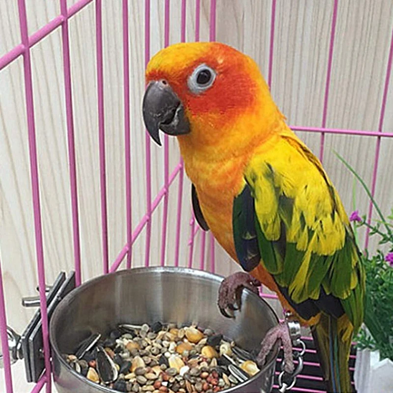Попугай Кормление чашка птица еда блюдо из нержавеющей стали Кормушка для попугаев с клетка для попугая маленькое животное сумка 2