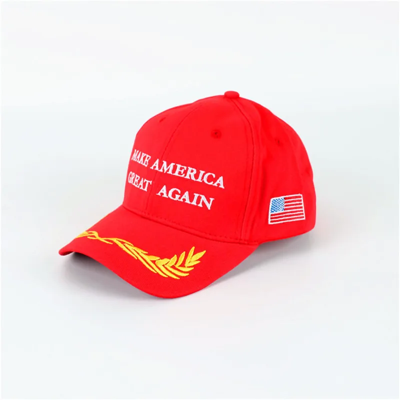 Trump hat (12)
