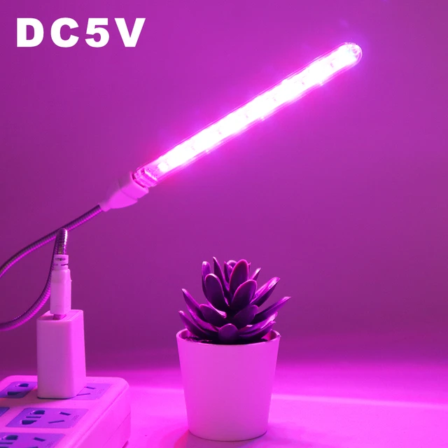 Lampe LED portable avec USB pour plantes succulentes, lumière de croissance  Phyto, DC 5V, 21