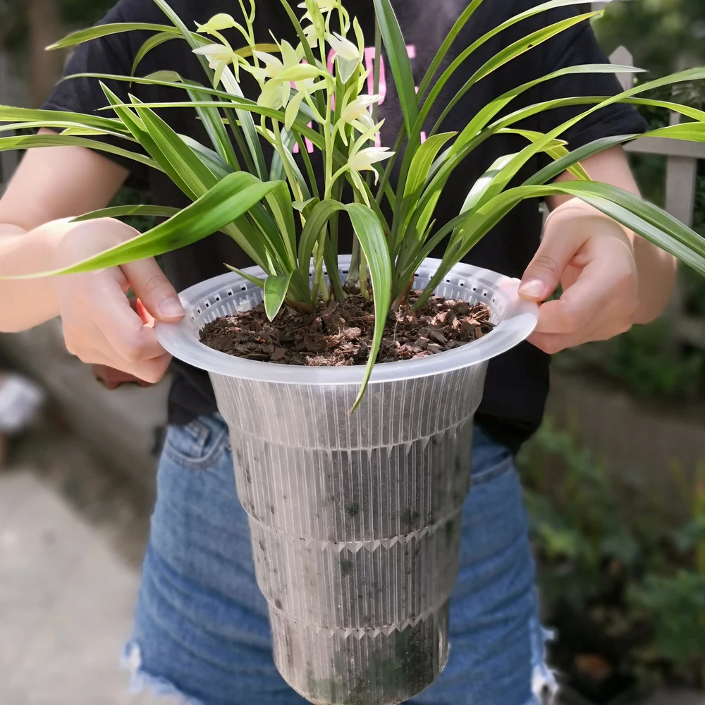 Двойные стены Meshpot отличное дренажное отверстие горшок с орхидеей пластиковым