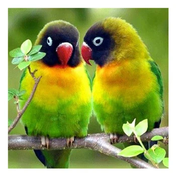 

Diamond Painting Special Shaped Diy 5D Partial Drill Cross Stitch Diamond Embroidery Crystal Rhinestone Of Picture Arts Craft Bi