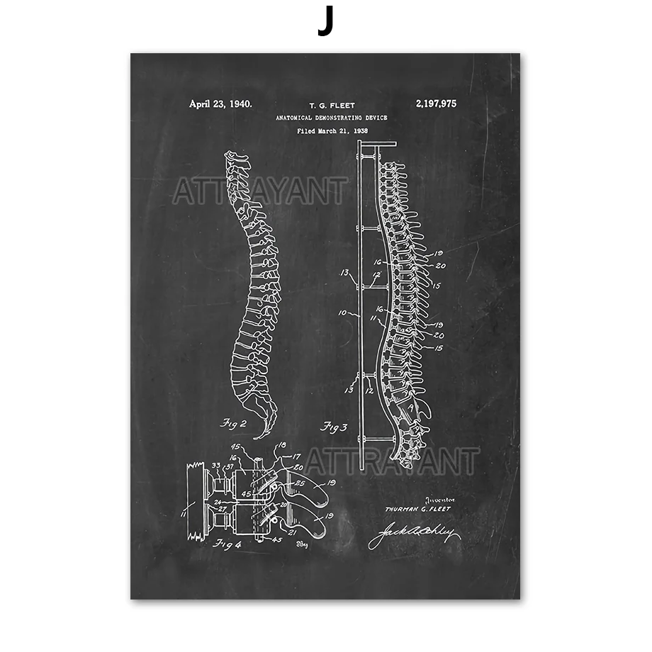Анатомический Скелет патент винтажный плакат на стену Художественная печать холст живопись скандинавские плакаты и принты настенные картины для гостиной - Цвет: J