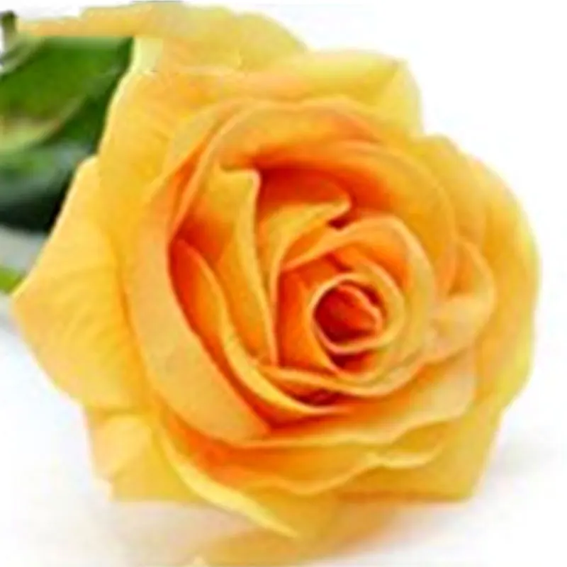 10 шт./партия, искусственные цветы, увлажняющие на ощупь розы, искусственные цветы, украшение, рукоделие, венок, искусственный цветок - Цвет: Yellow