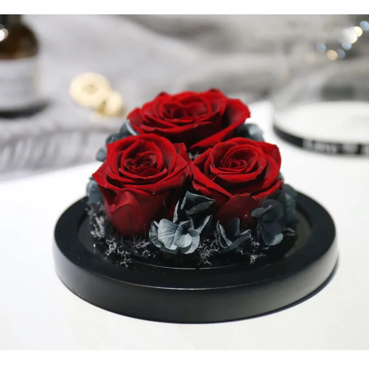 Love Everlasting flower vase Glass cover 15