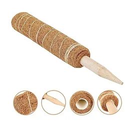 Poteau d'escalade pour plantes, 1 pièce, bâton de mousse de coco, bâtons de vigne, Support pour plantes, Extension, plantes d'intérieur grimpantes 