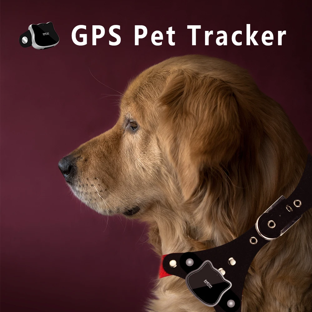Водонепроницаемый мини ошейник для домашних животных GSM GPS трекер локатор