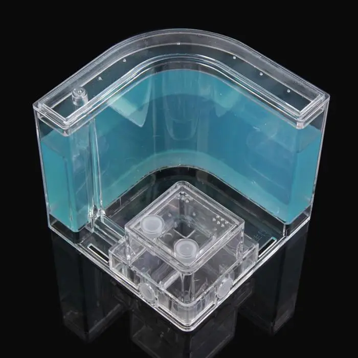 1PCS 3D Insect Acrylic For Ant Farm Observed Expansion Maze House Educational Decor Accessories Look into World Bug Box Ornament