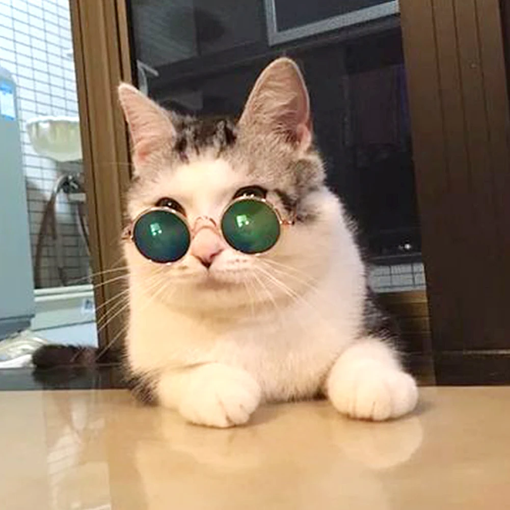 QIND Pet Солнцезащитные очки, модные очки, водостойкие многоцветные кошачьи солнцезащитные очки, очки для защиты глаз, для кошек