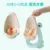 Baby Boy Potty Training Seat Лягушка Детский Горшок Настенный Писсуар для Мальчиков Портативные Туалеты Соединяемая Водопроводная Труба