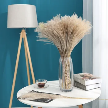 

50pcs Real grassland Dried Small Pampas Grass Wedding Flower Bunch Natural Plants Decor Home Decor Dried Flowers