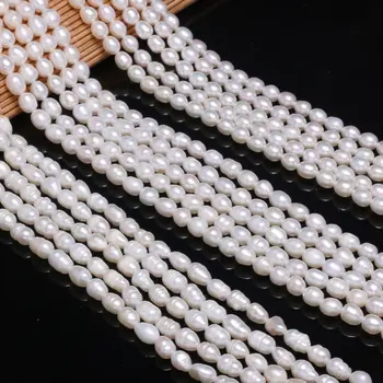 

Natural Freshwater Pearl Beads High Quality Rice Shape Punch Loose Beads for DIY Jewelry Making Elegant Necklace Bracelet 5-6MM