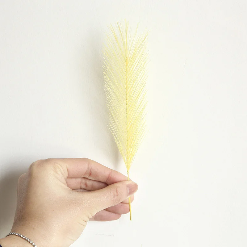 10896176452_1245478559