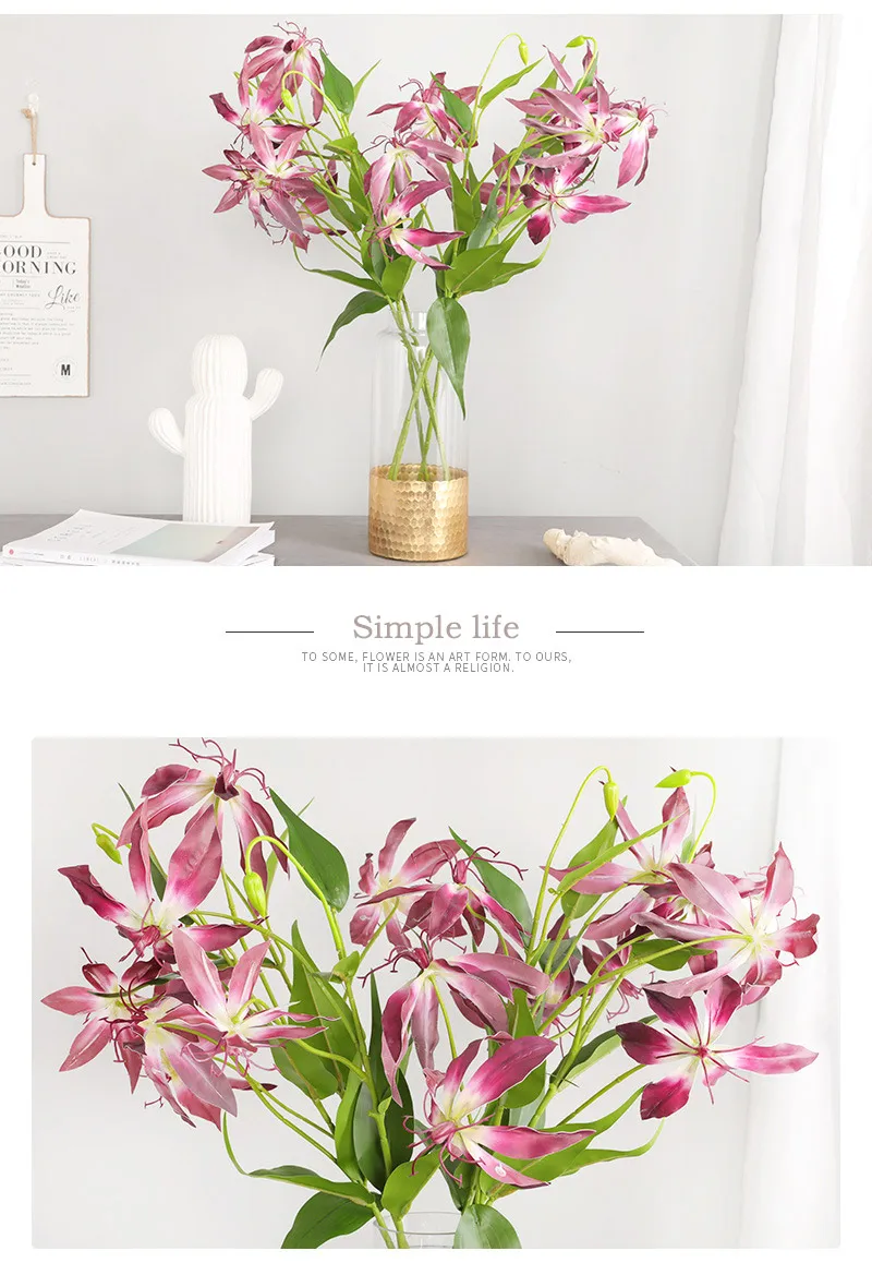 095b58d1-1c74-49c3-9b11-920645d51138