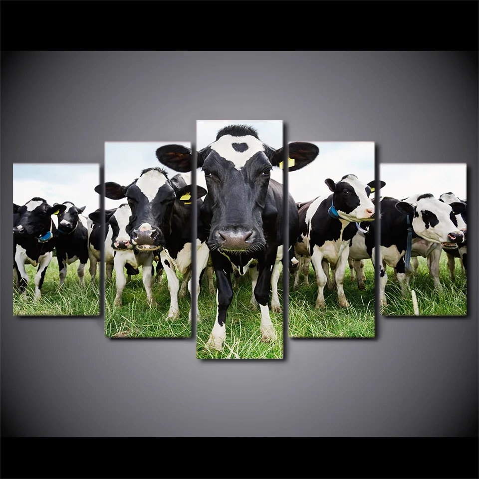 ArtSailing-HD-print-5-piece-canvas-art-Milk-Cow-Painting-wall-pictures-for-living-room-posters (1)