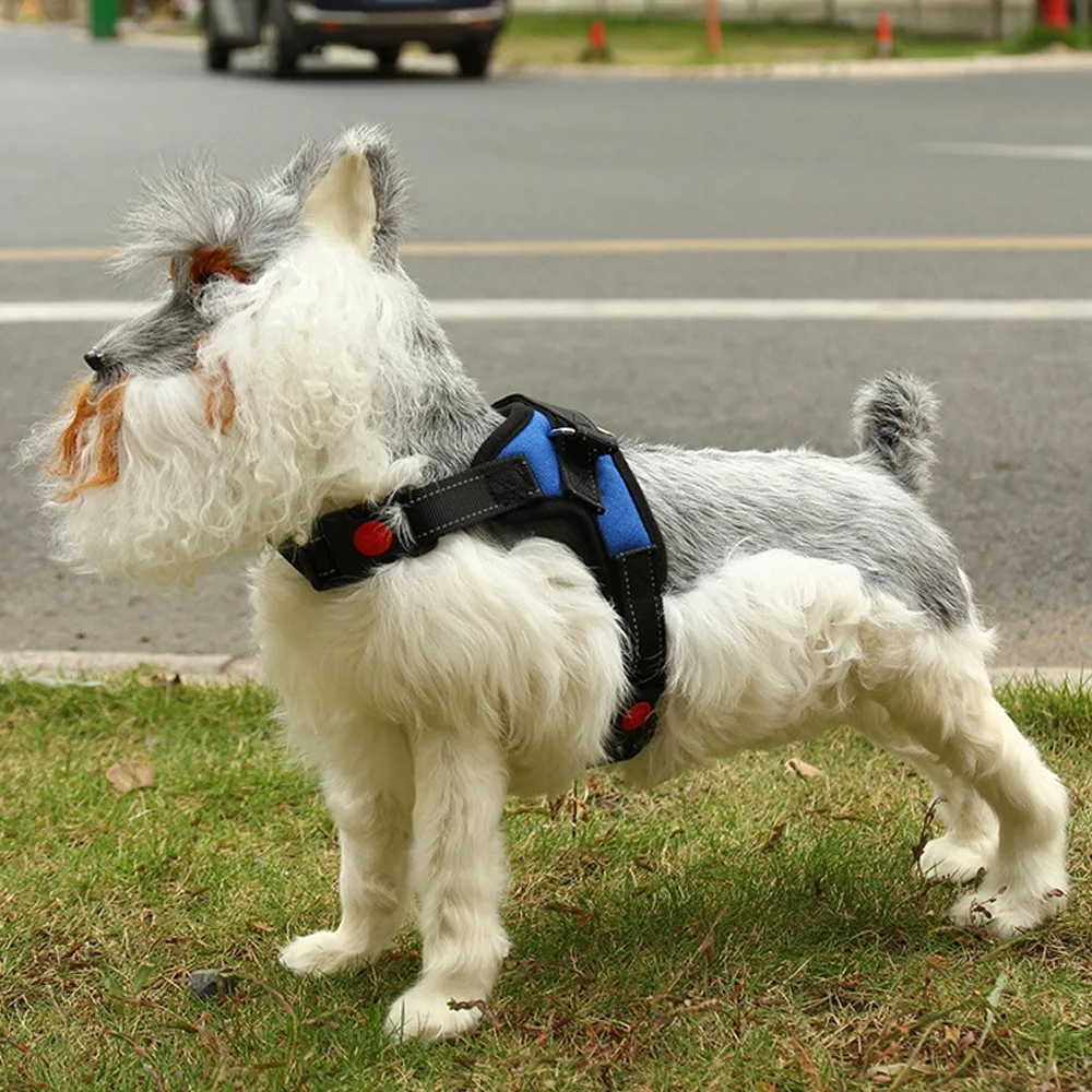 Pet Dog and Cat Adjustable Harness with Leash Reflective and Breathable for Small and Large Dog Harness Vest Pet Supplies