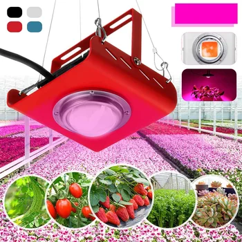 

50W Growing Lamps 144LED COB Plant Grow Light Full Spectrum 380-800nm 4000K Flowers Hydroponic Growth Lamp AC110V 220V